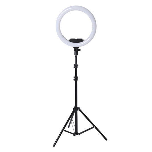 ring-light